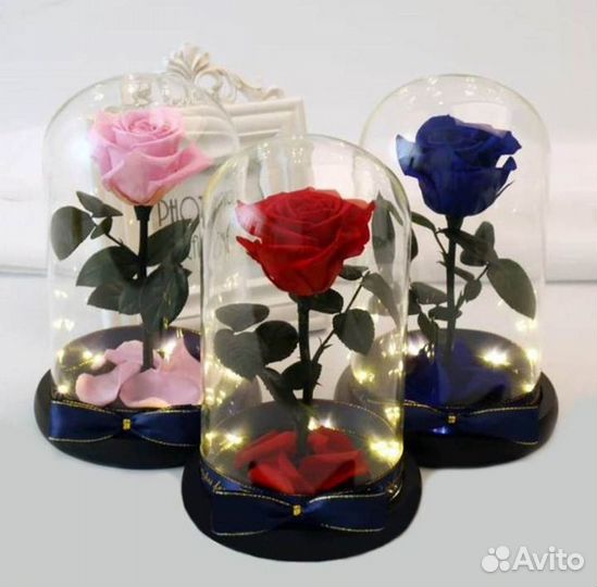 Роза в колбе