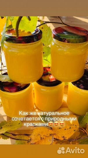 Сыр домашний