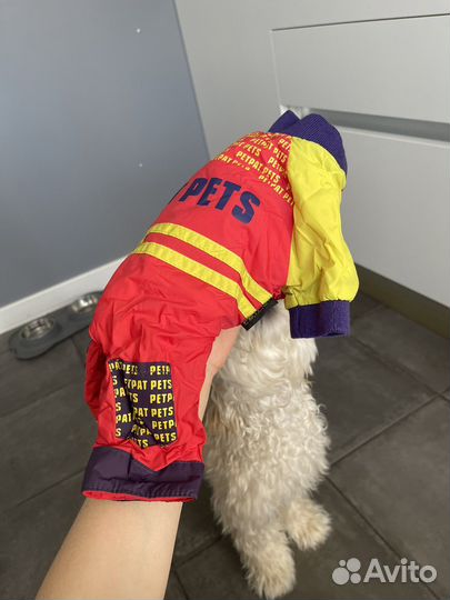 Комбинезон для собаки средних пород