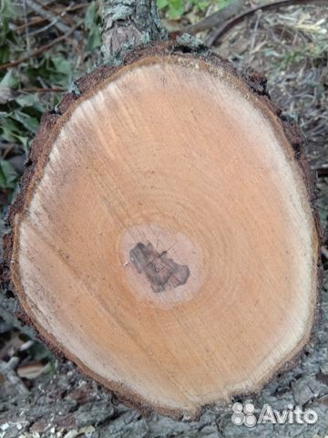 Древесина груши для поделок