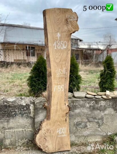 Слэб капового карагача