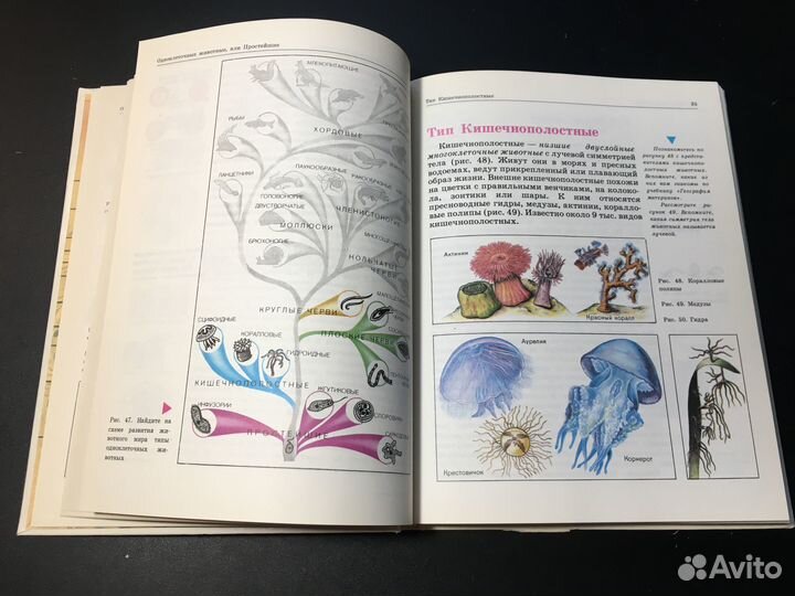 Биология: Животные, 7-8 класс, Никишов, 1998