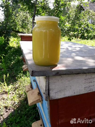 Мед натуральный (1.5 кг) В 1 лит