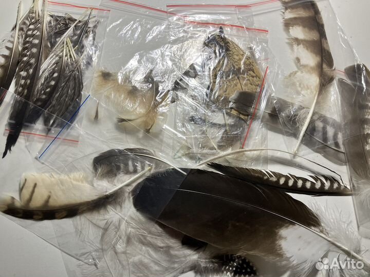 Интересные перья