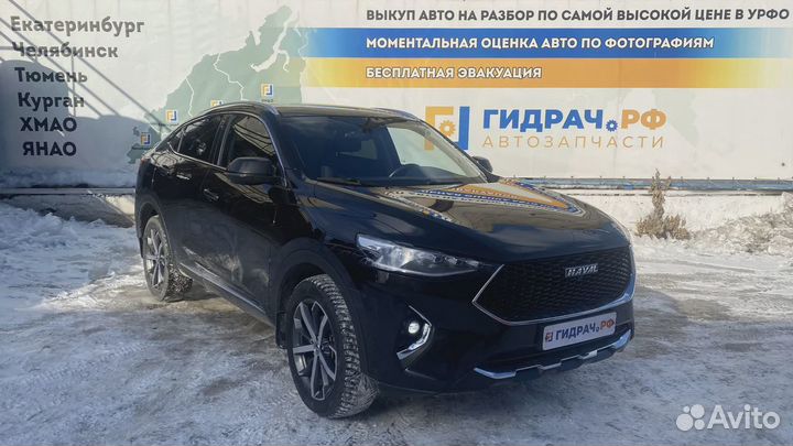 Ручка двери наружная задняя правая Haval F7x 2