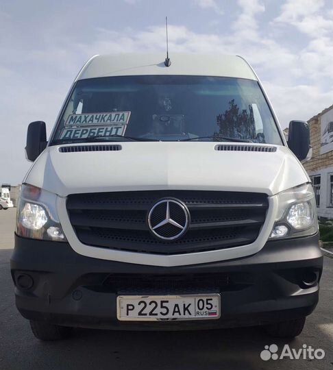 Аренда Микроавтобусов,Минивенов и Внедорожников