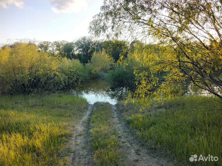 Скотник/ пастух для коров и доярка
