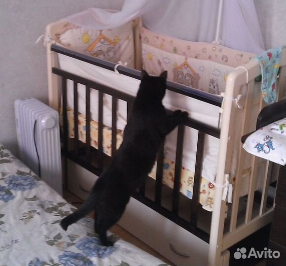 Кроватка детская Можга