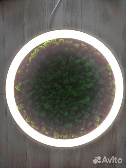 Люстра LED кольцевая потолочная со мхом Ягель