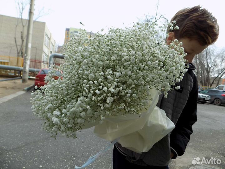 Гипсофила. Букеты. Композиции