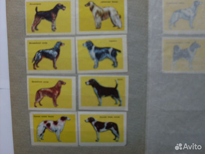 3 набора спичечных этикеток