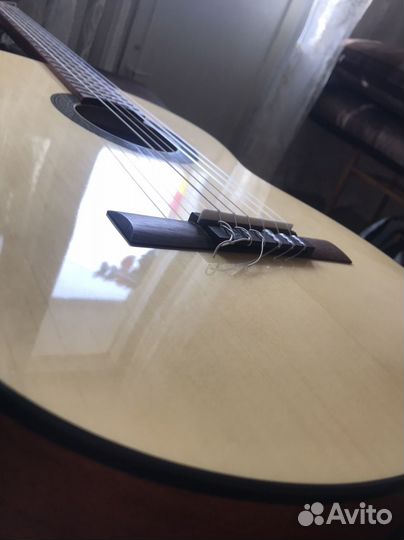 Cort AC100-SG