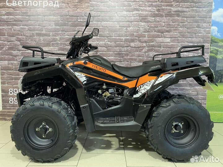 Квадроцикл Yacota Cabo 200 Big Lux (2023г)