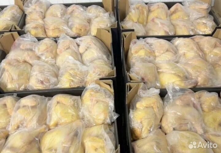 Куры бройлеры тушки