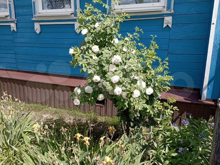 Участок 12 сот. (ИЖС)