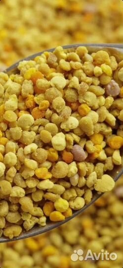 Пыльца пчелиная свежая Сбор 2023 г отправка по РФ