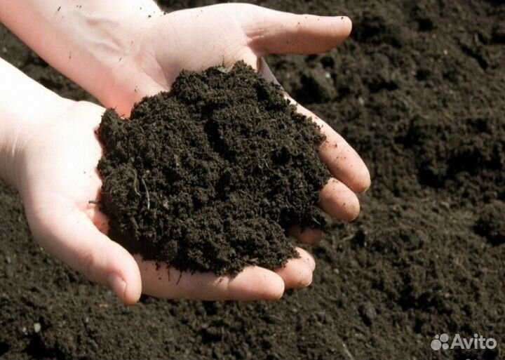 Чернозем земля плодородная