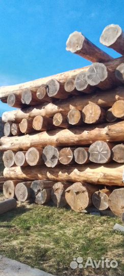 Отборный лес. Кругляк