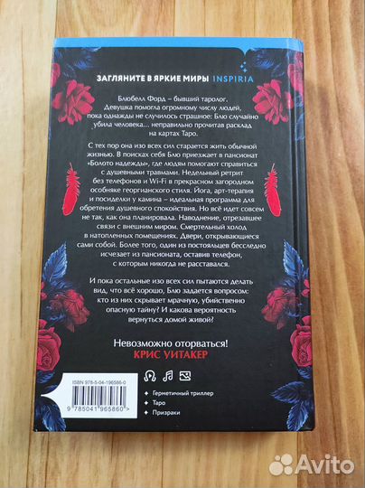 Ребекка Торн. Карта убийцы