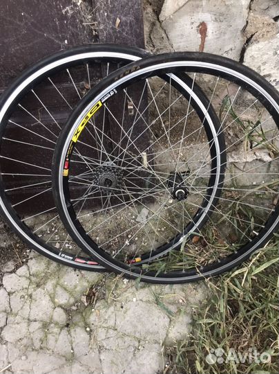 Campagnolo record pista