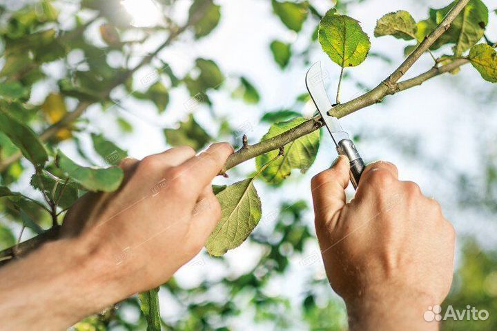 Нож садовый с изогнутым лезвием Cellfast (40-260)