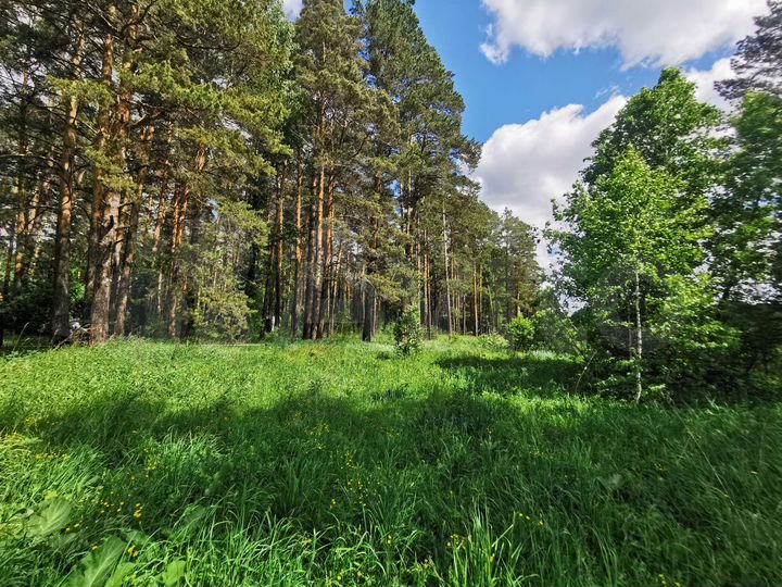 Участок 27 сот. (ИЖС)