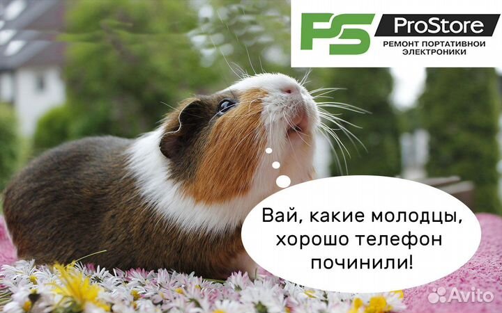 Правильная замена аккумуляторов на iPhone