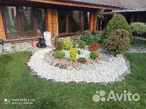 Рулонный газон под ключ