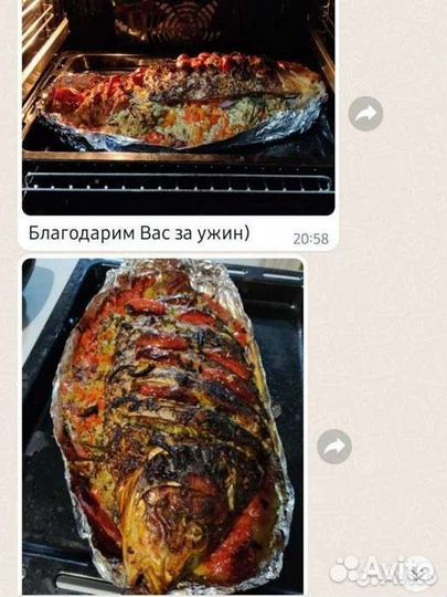Живая рыба карп