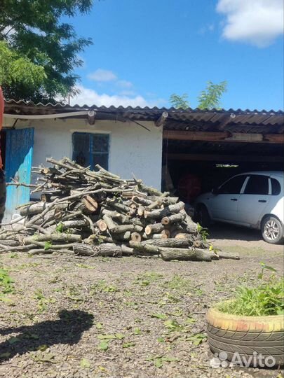 Дрова и ствол грецкого ореха