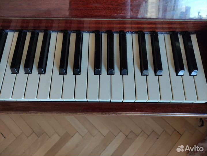 Пианино Ronisch