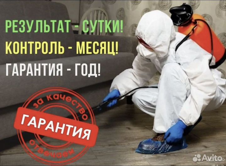 Уничтожение клопов травить тараканов дезинсекция