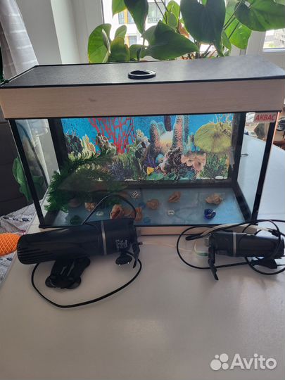 Аквариум