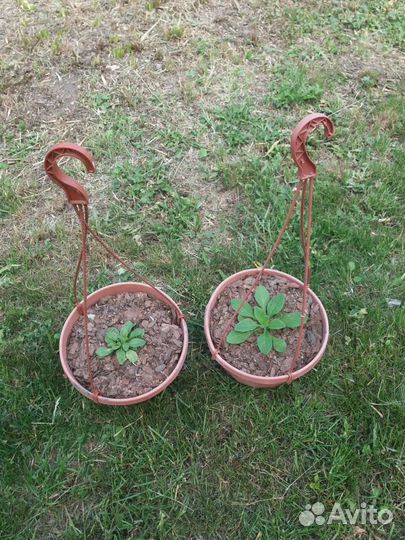 Кашпо подвесное для цветов