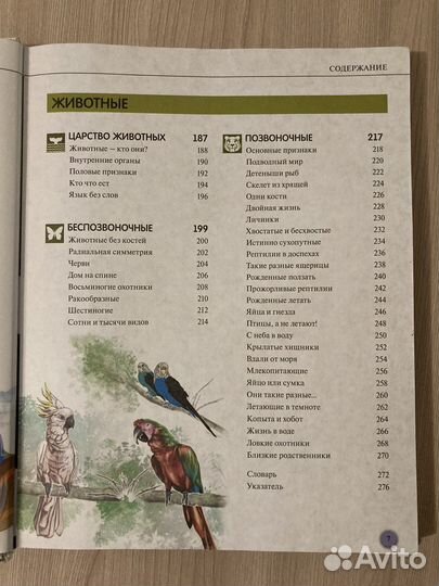 Энциклопедия школьника