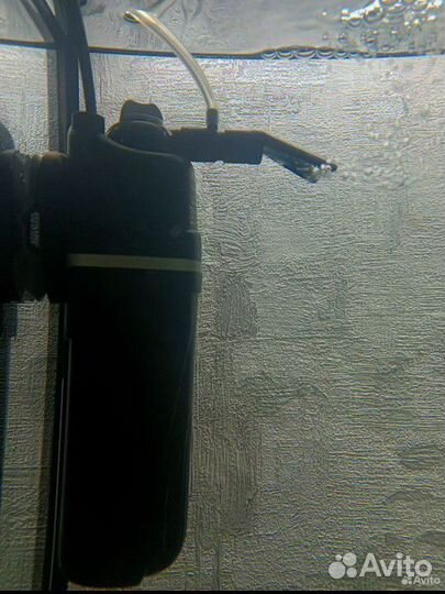 Фильтр aquael fan 1 plus (на 60-100литров)