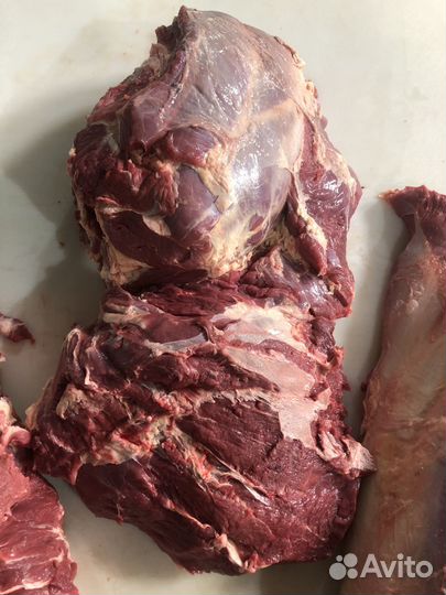 Мясо Говядина мякоть субпродукты