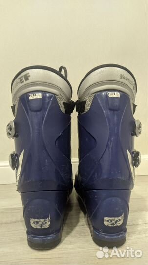 Горные лыжи