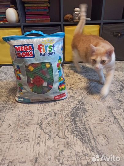 Конструктор