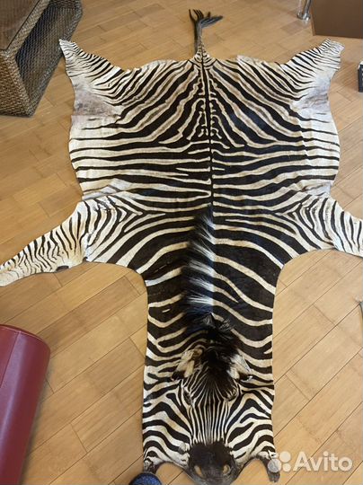 Шкура зебры
