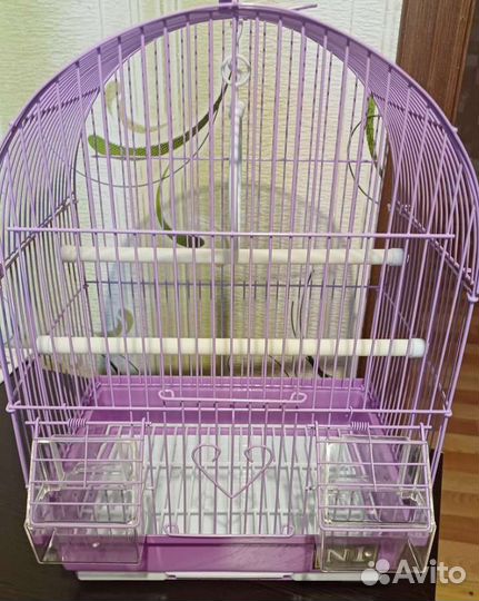 Клетка для попугая