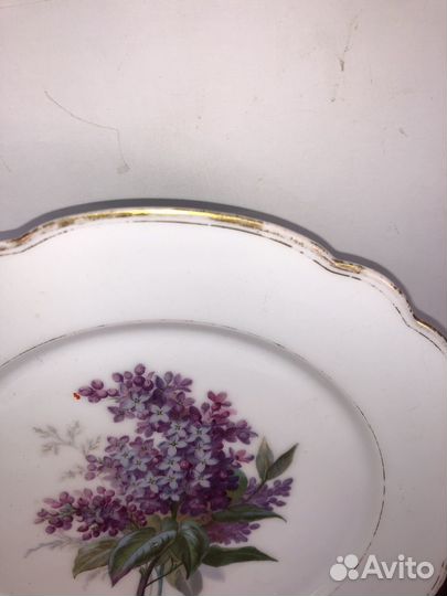 Тарелка фарфор pillivuyt Сирень редкость RRR