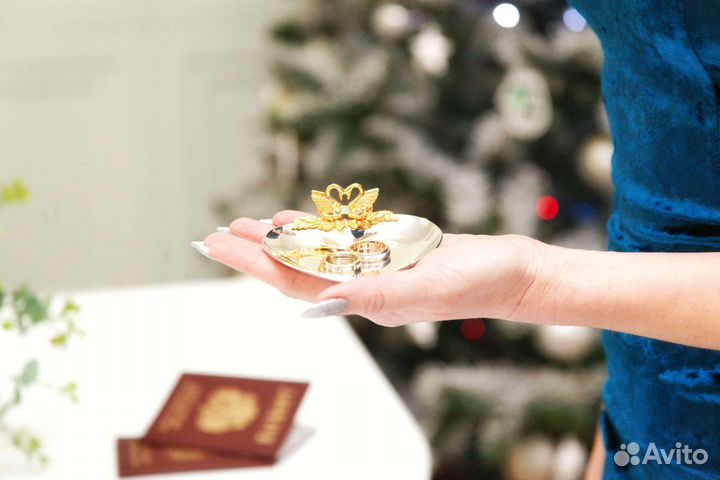 Фотограф Домодедово