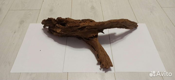 Коряги,анциструсы,улитки,tetra корм