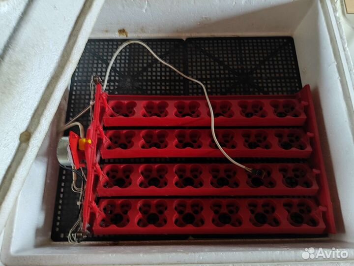 Инкубатор несушка