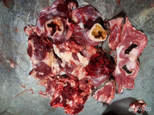 Мясо говядина для собак