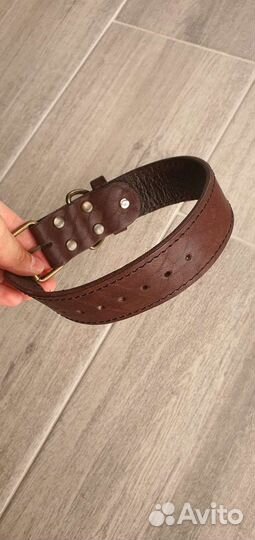 Ошейник для собак