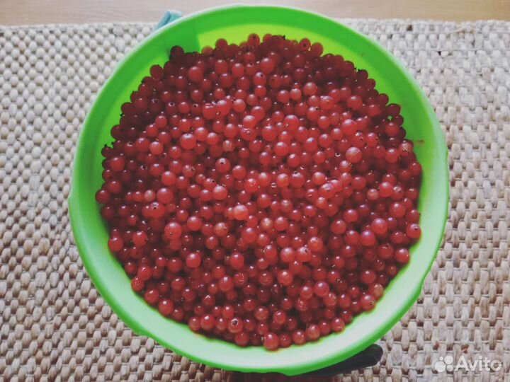 Красная смородина ягода