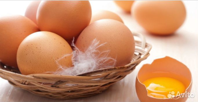 Домашние куриные яйца