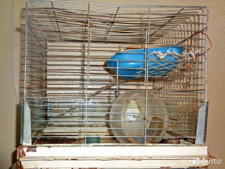 Старая клетка для птиц или хомяков